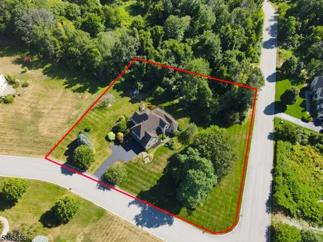 a view of a yard with plants