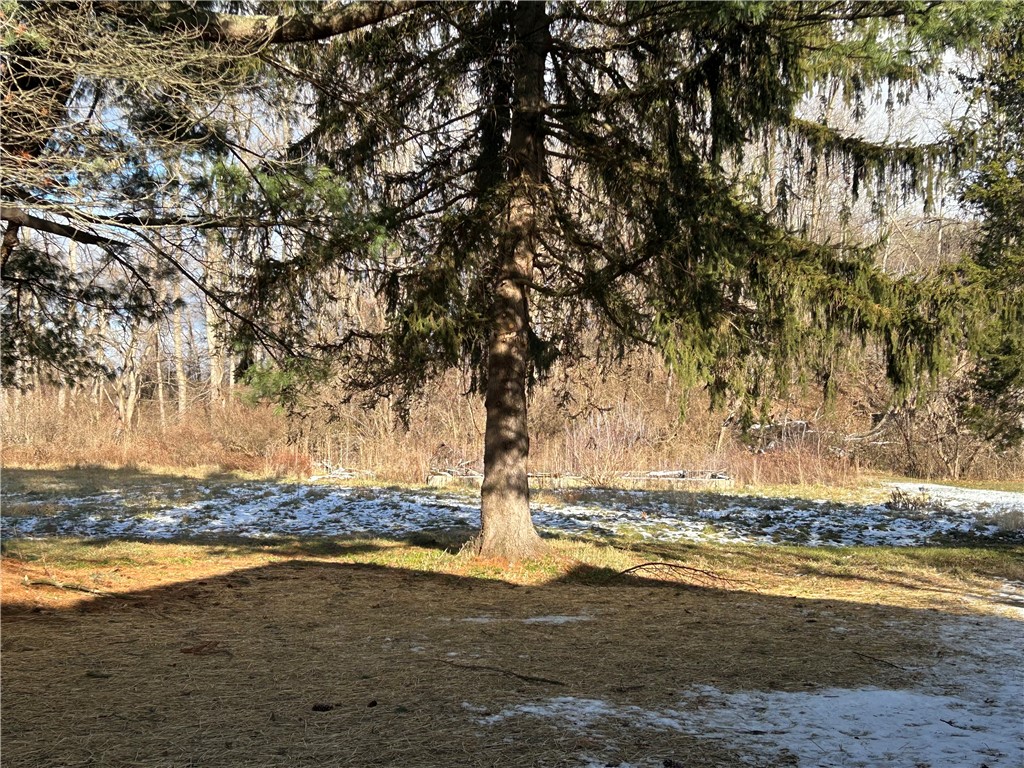 126 Havana Glen Road Montour, NY 14865 - Photo 6 of 42 Large 2 acre parcel