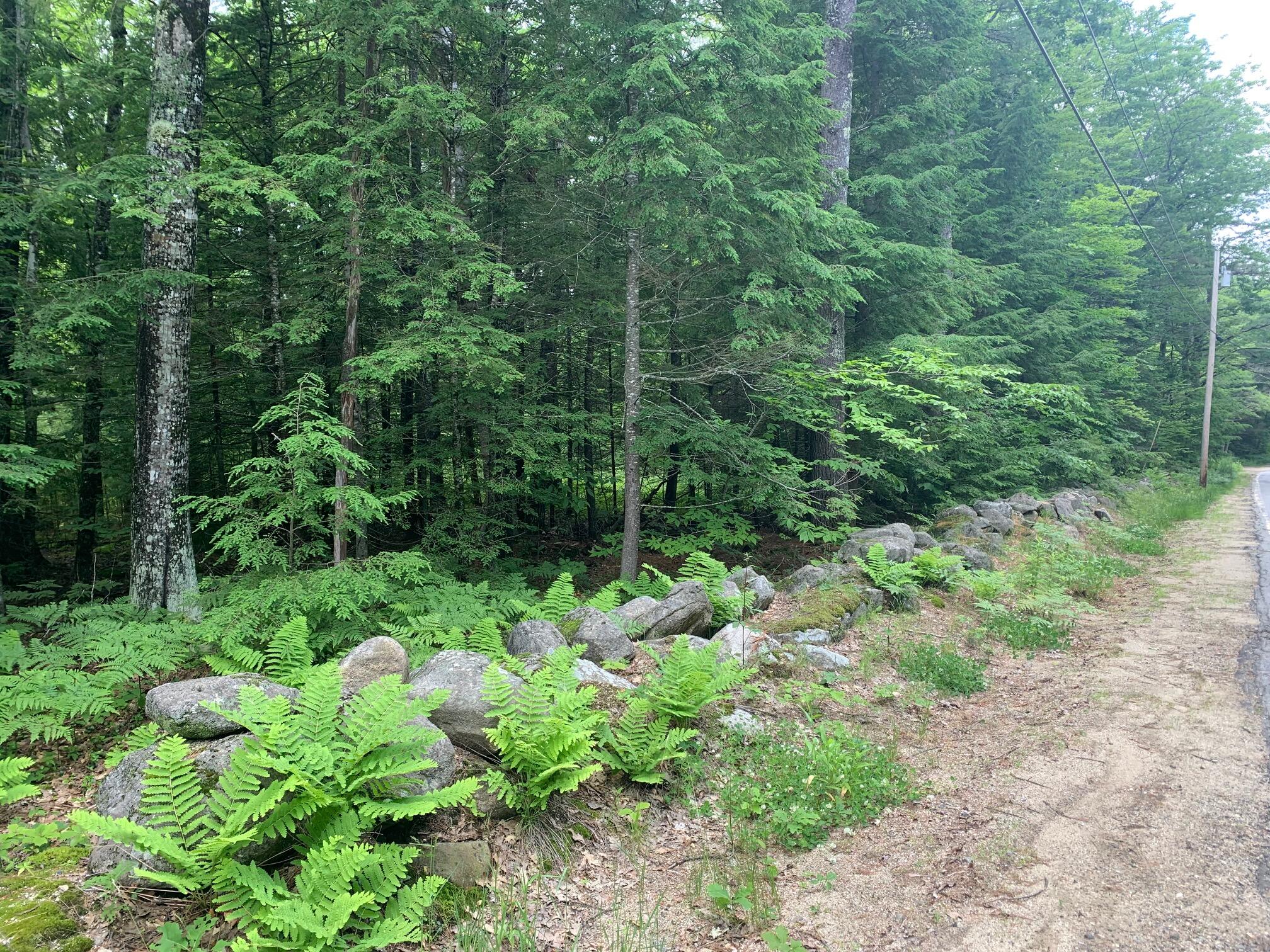 15 Bridgton Road Harrison, ME 04040 - Photo 13 of 16 TIME TO BUILD