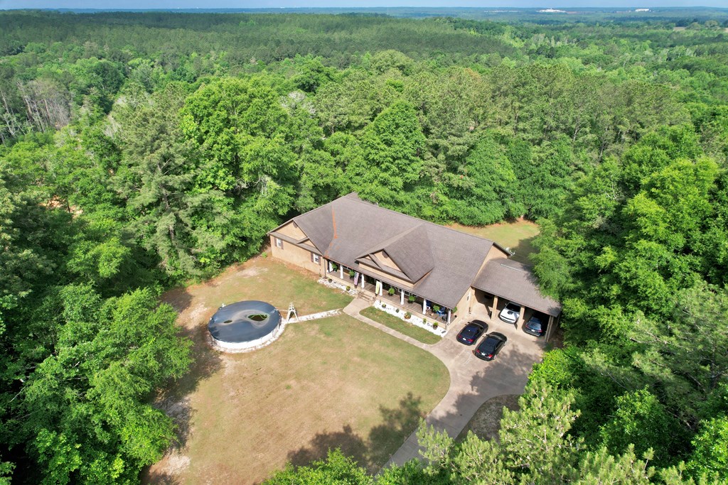 950 Spring Street Newton, AL 36352 - Photo 3 of 51