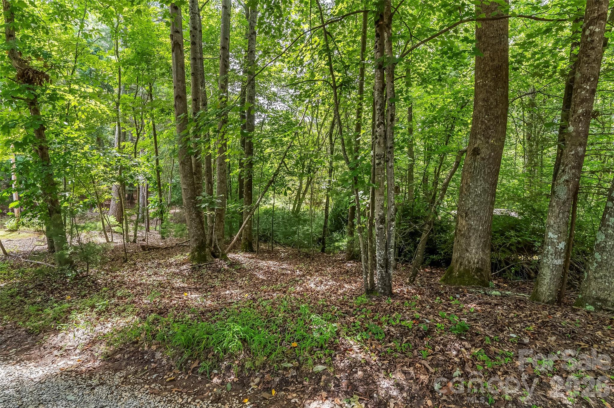 2040 Hampson Road Morganton, NC 28655 - Photo 14 of 14
