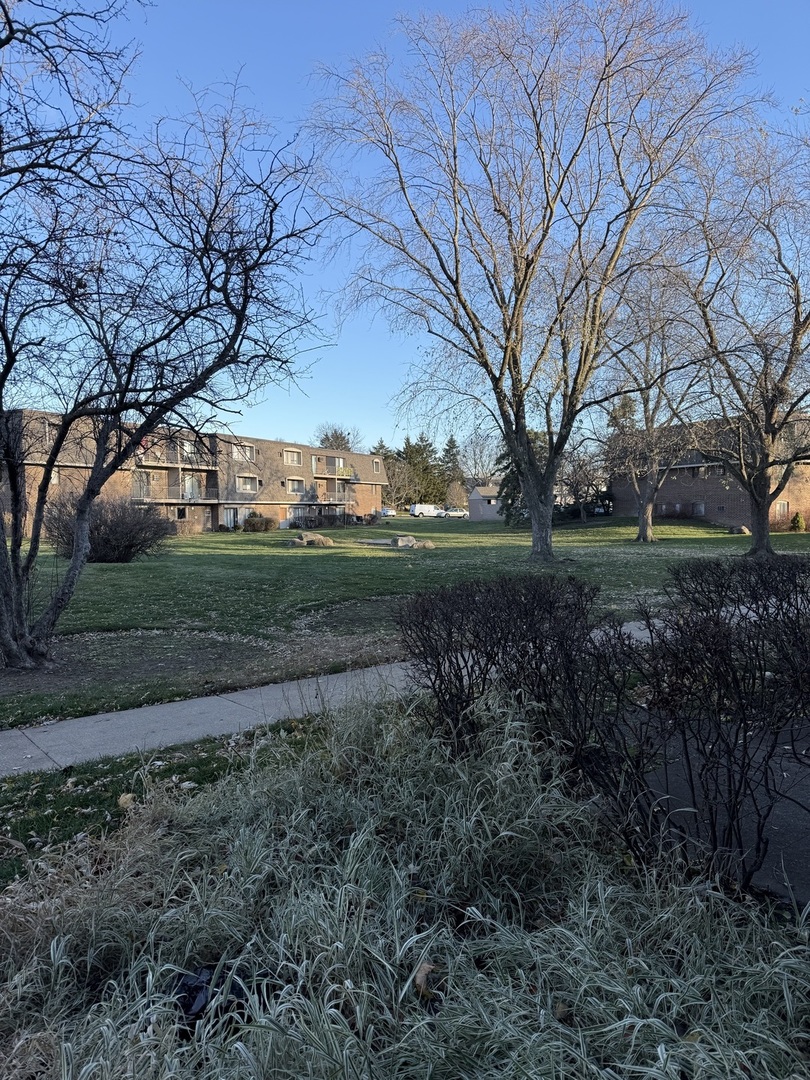 138 East Bailey Road, Unit B Naperville, IL 60565 - Photo 19 of 20 a view of a yard