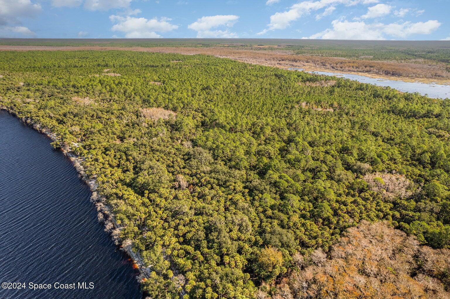 0 No Road Osteen, FL 32764 - Photo 6 of 13 a view of an outdoor space and a lake view