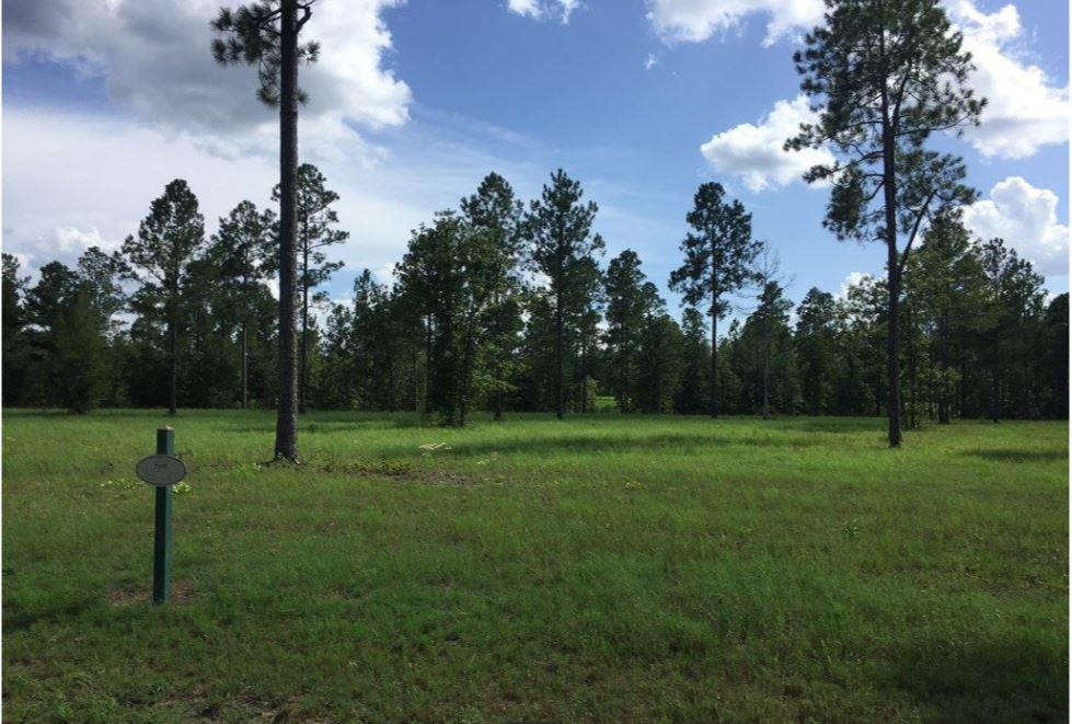 Lot20-ph7a Rembert Place Aiken, SC 29803 - Photo 3 of 13