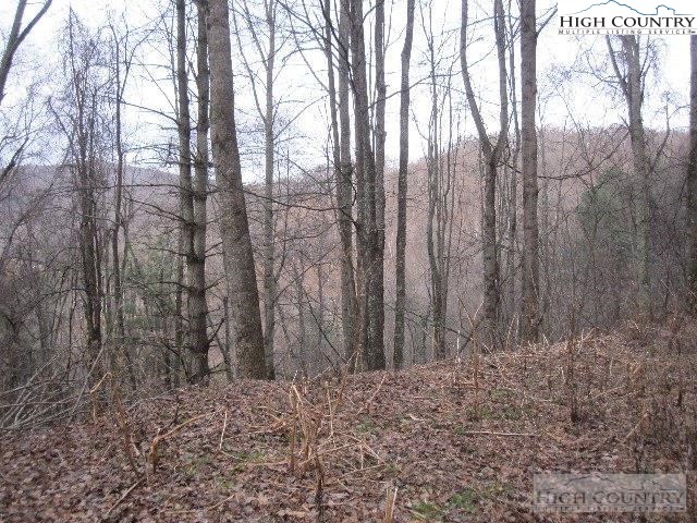 Dave Green Road Vilas, NC 28692 - Photo 3 of 7 Gallery Image 3
