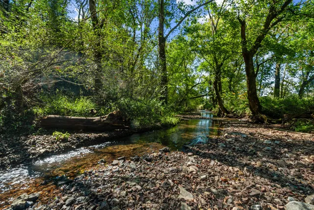 $499,000 | 13560 Columbia Highway, Lynnville, TN 38472