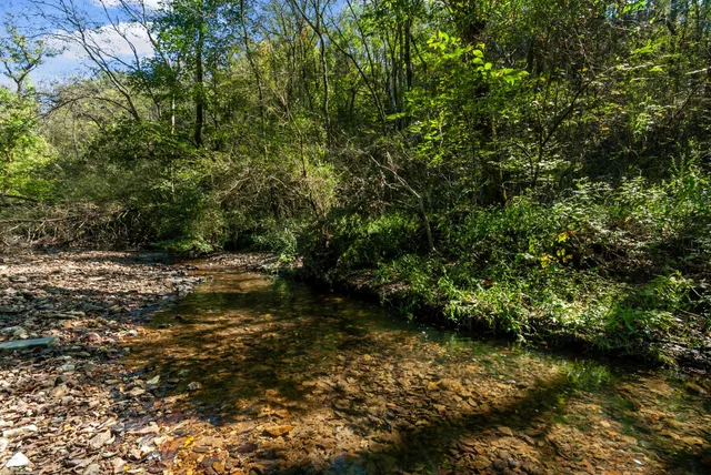 $499,000 | 13560 Columbia Highway, Lynnville, TN 38472