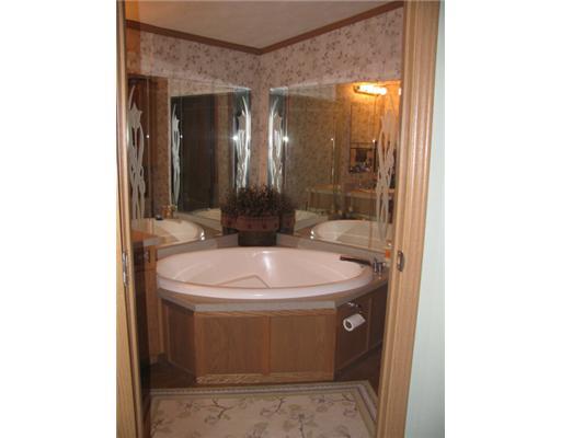 1132 Cole Road Apollo, PA 15613 - Photo 8 of 18 Master Bath/Spa. A garden style tub in the Master Bath awaits