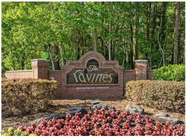a view of a park with plants and large trees