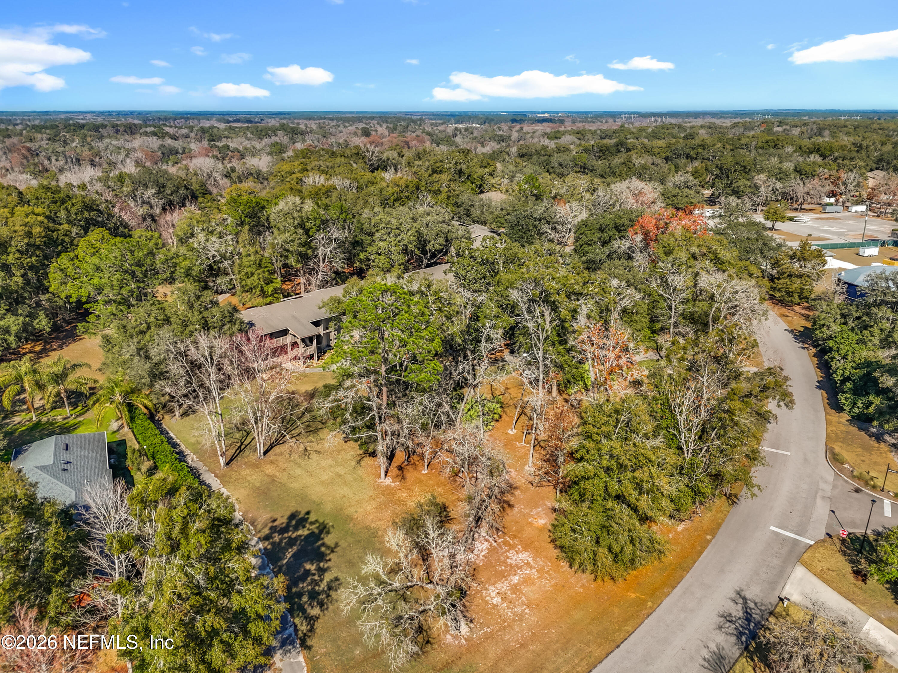 2910 Ravines Road, Unit 1103 Middleburg, FL 32068 - Photo 36 of 36 a view of yard with wooden floor