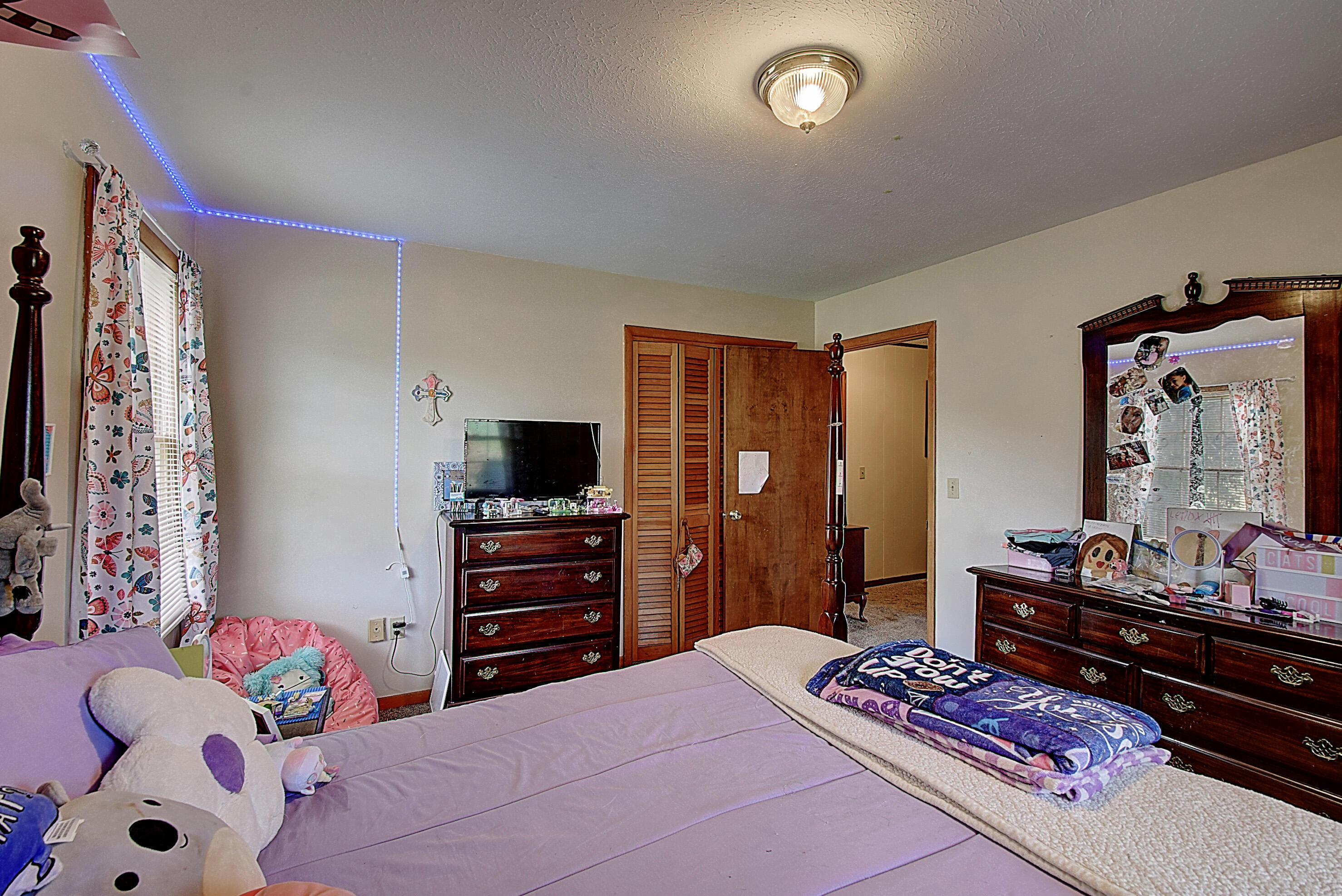 2398 Temple Hill Road Erwin, TN 37650 - Photo 22 of 37 DSC_0352And8more