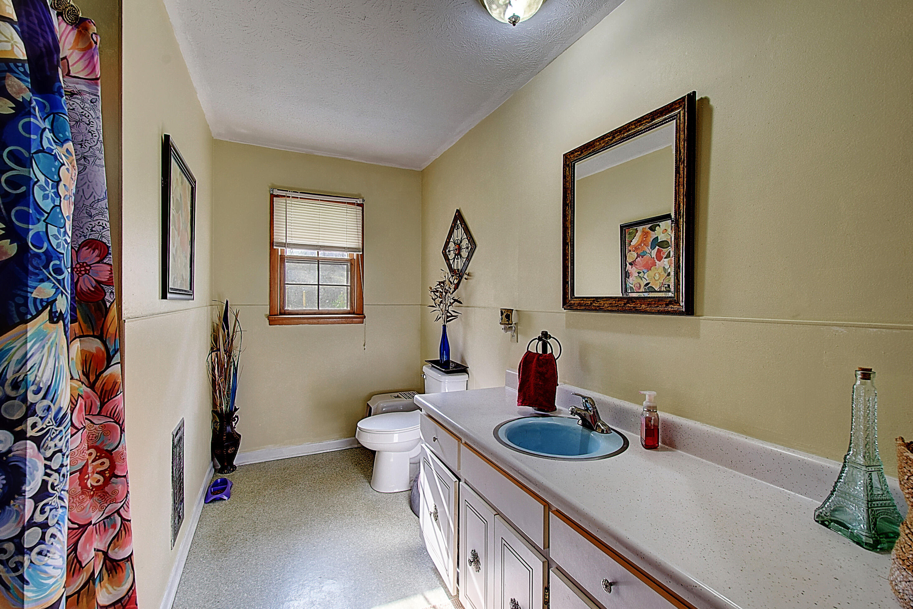 2398 Temple Hill Road Erwin, TN 37650 - Photo 24 of 37 DSC_0388And8more