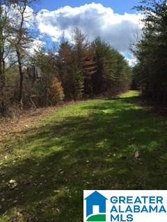 0 Henderson Lake Road, Unit 128 Munford, AL 36268 - Photo 21 of 31