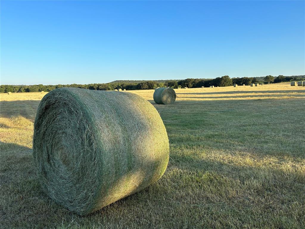 600 Wilson Bend Road Millsap, TX 76066 - Photo 4 of 28