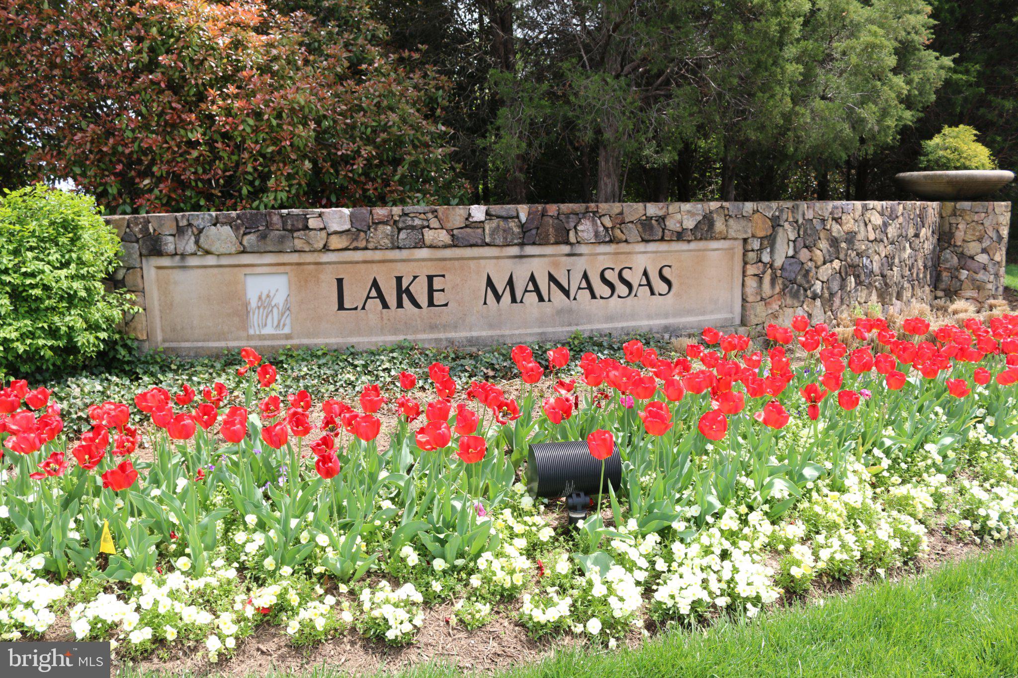 15006 Ransom Oaks Court Gainesville, VA 20155 - Photo 46 of 57 Vibrant blooms at Lake Manassas