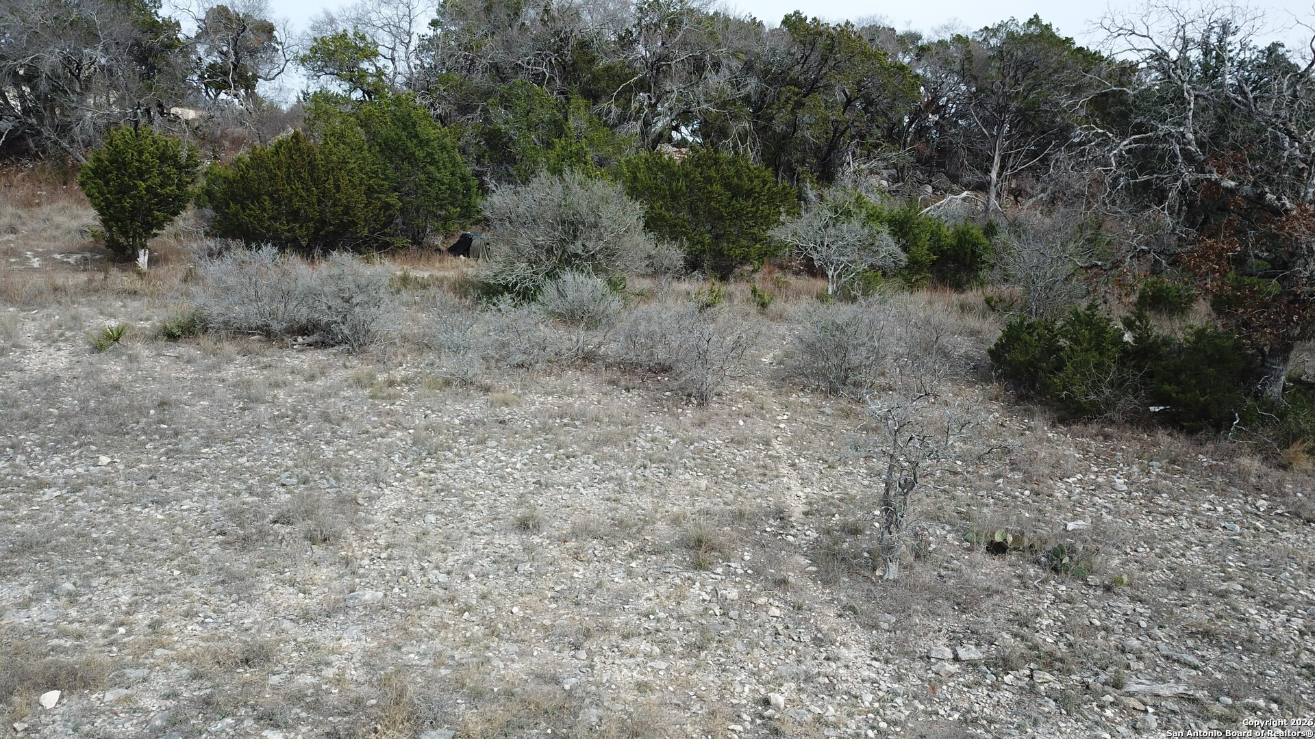 335 Arthur Court Spring Branch, TX 78070 - Photo 11 of 18 a view of a forest with trees in the background