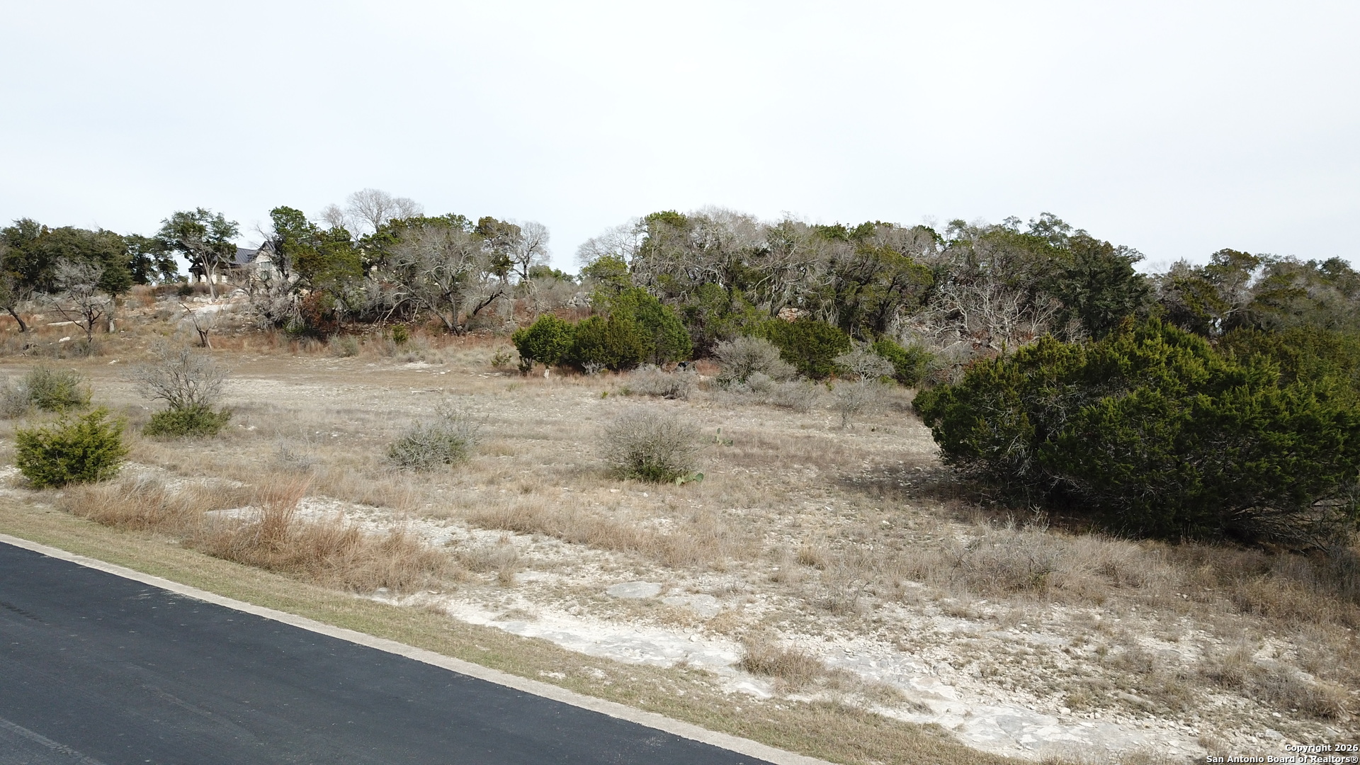 335 Arthur Court Spring Branch, TX 78070 - Photo 12 of 18 a view of a dry yard with trees