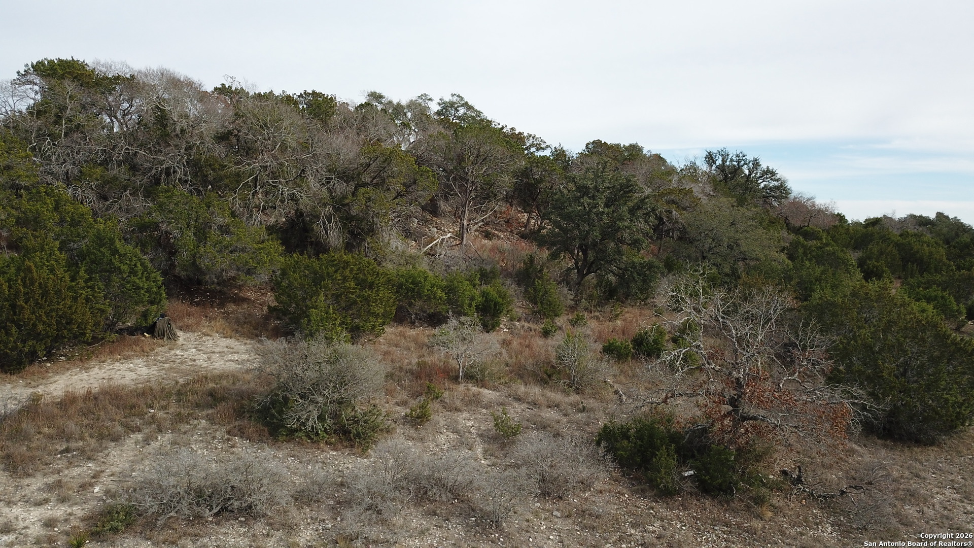 335 Arthur Court Spring Branch, TX 78070 - Photo 2 of 18 a view of a forest with trees in the background