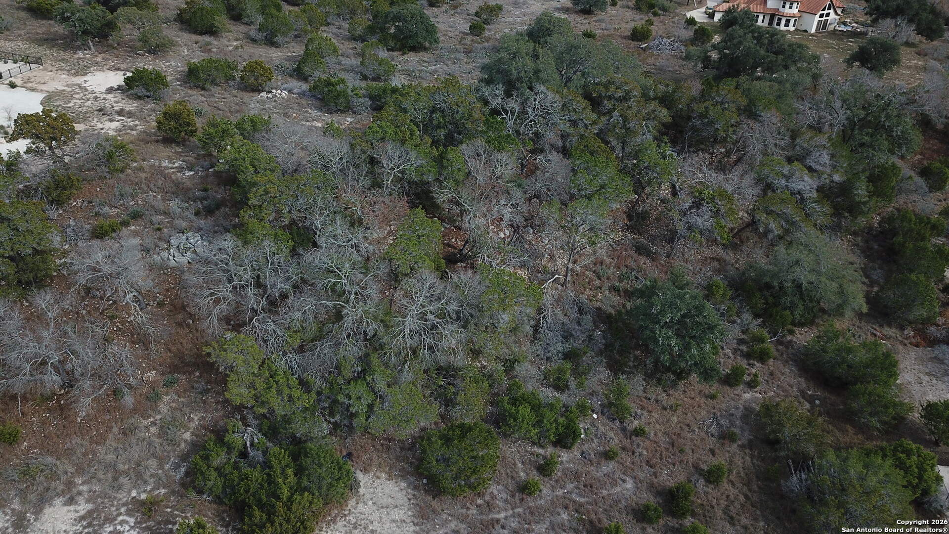 335 Arthur Court Spring Branch, TX 78070 - Photo 5 of 18 a view of a forest with trees and houses
