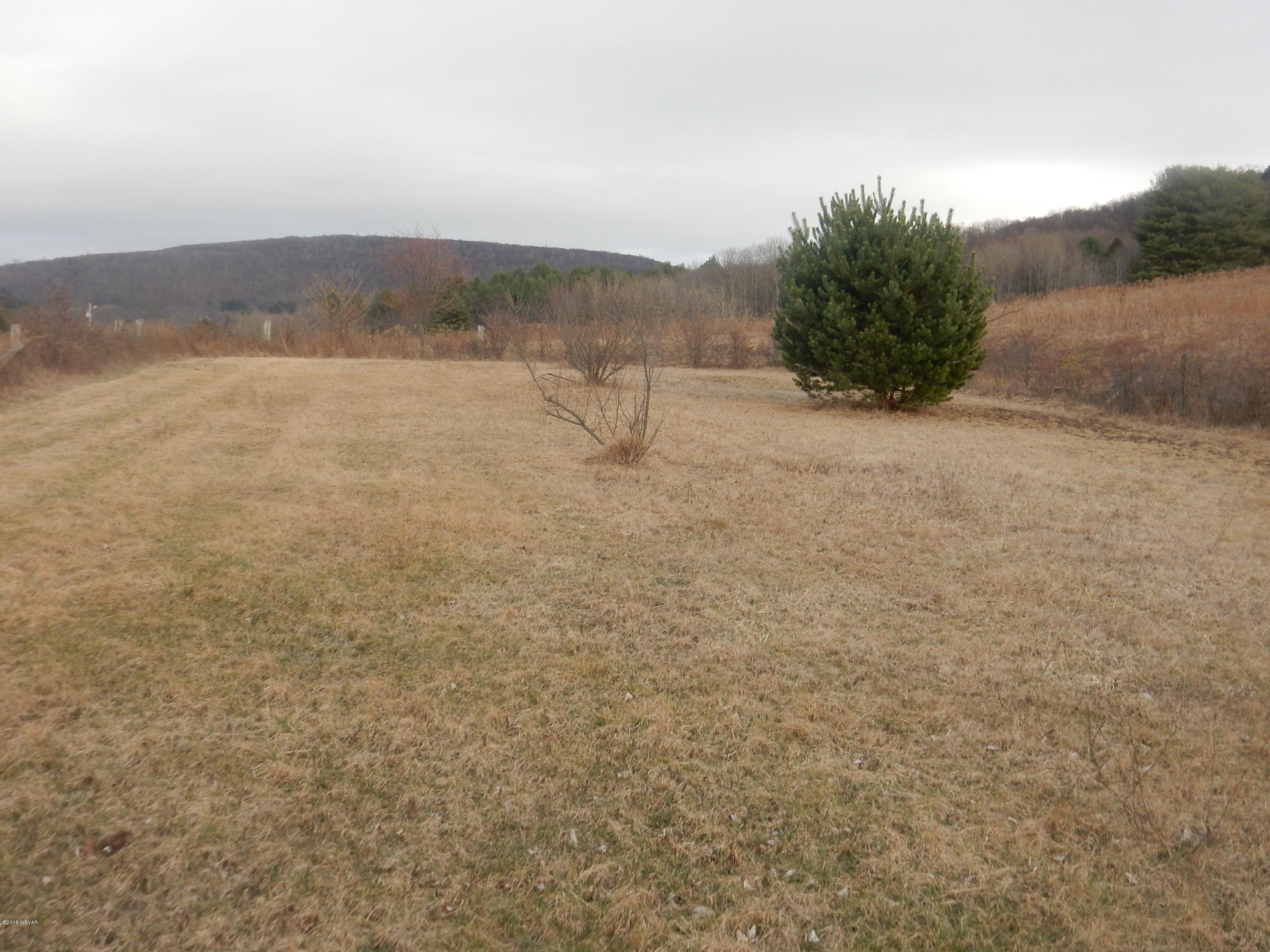 2874 Whiskey Run Road Muncy Valley, PA 17758 - Photo 48 of 62 RINIER BARN PICS 015