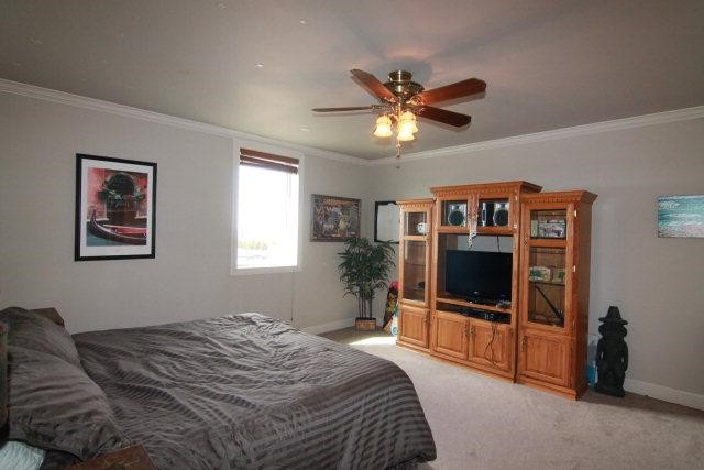 7222 County Rd 2378 Wolfforth, TX 79382 - Photo 10 of 10 Photo 10