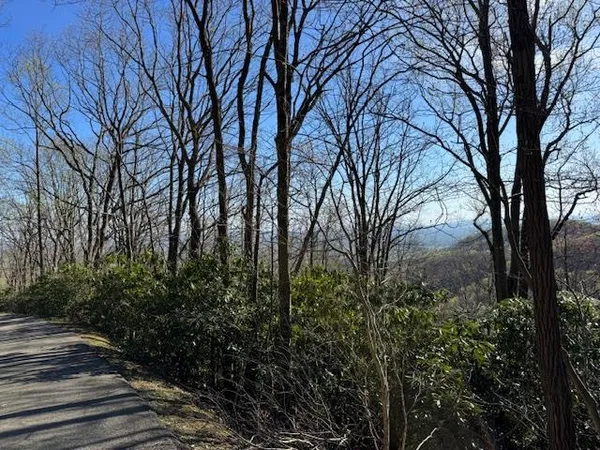 $6,500 | Tbd Buck Hollar Road, Unit 38, Hillsville, VA 24343