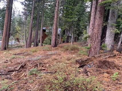 $80,000 | 4036 Courchevel Road, Homewood, CA 96141