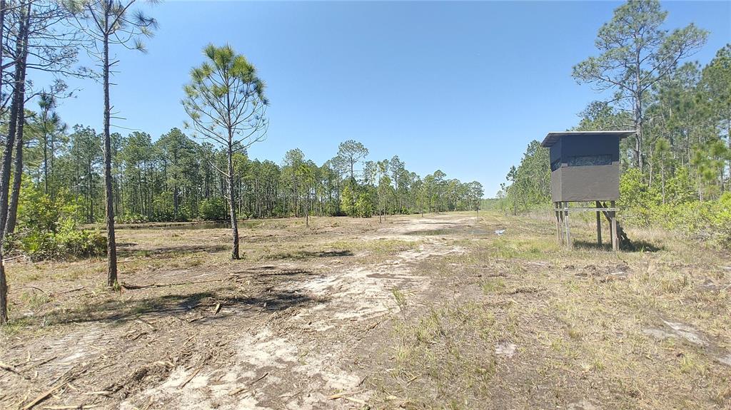 1001 Omega Ranch Road, Unit 16 Deltona, FL 32738 - Photo 10 of 12 Gallery Image 10