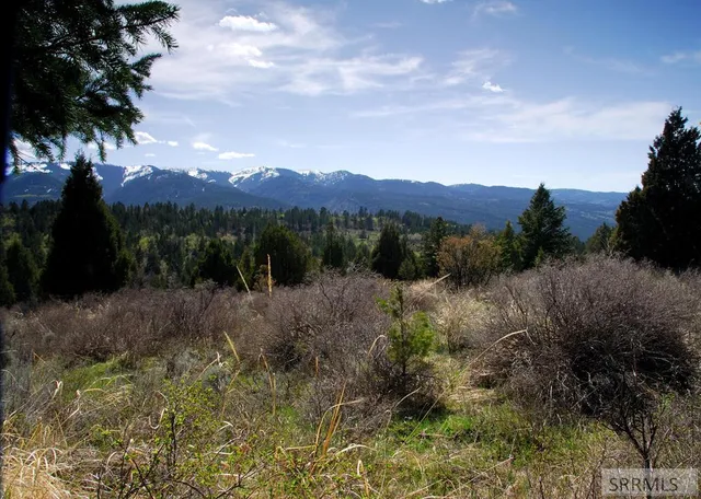 $165,000 | L54-b4 Cutthroat Run, Irwin, ID 83428