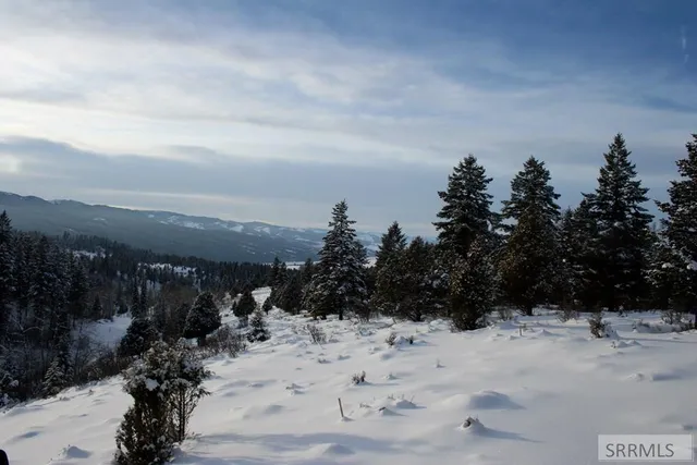 $165,000 | L54-b4 Cutthroat Run, Irwin, ID 83428