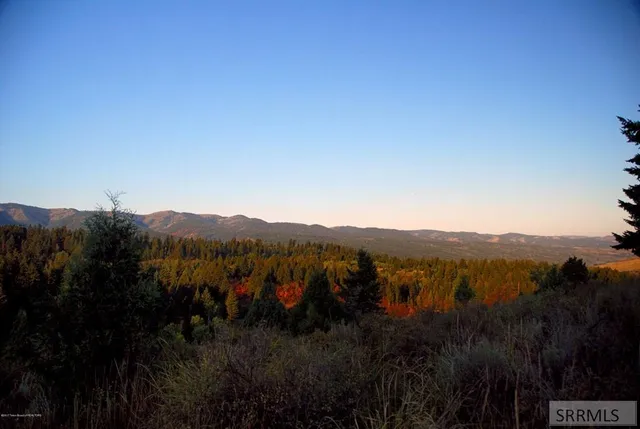 $165,000 | L54-b4 Cutthroat Run, Irwin, ID 83428