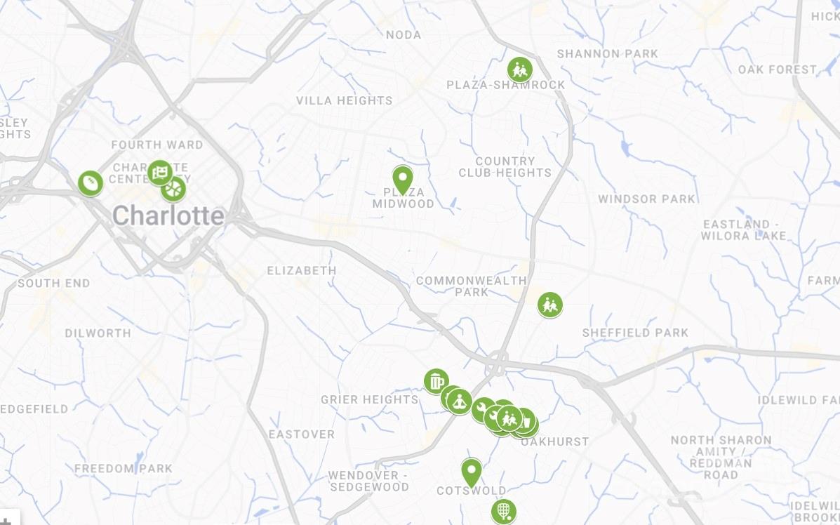 6009 Pivot Court Charlotte, NC 28205 - Photo 13 of 16 a close up of a vase with flowers