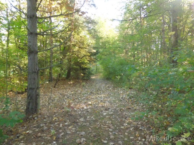 8050 Logana Road Avoca, MI 48006 - Photo 20 of 30 This is a view of the woods.