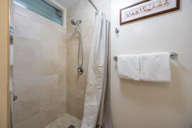 a bathroom with a shower and toilet