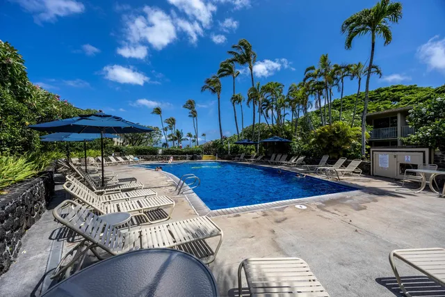 a view of a house with a backyard and plants