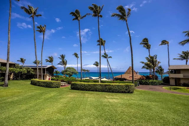 a view of a garden with an outdoor space