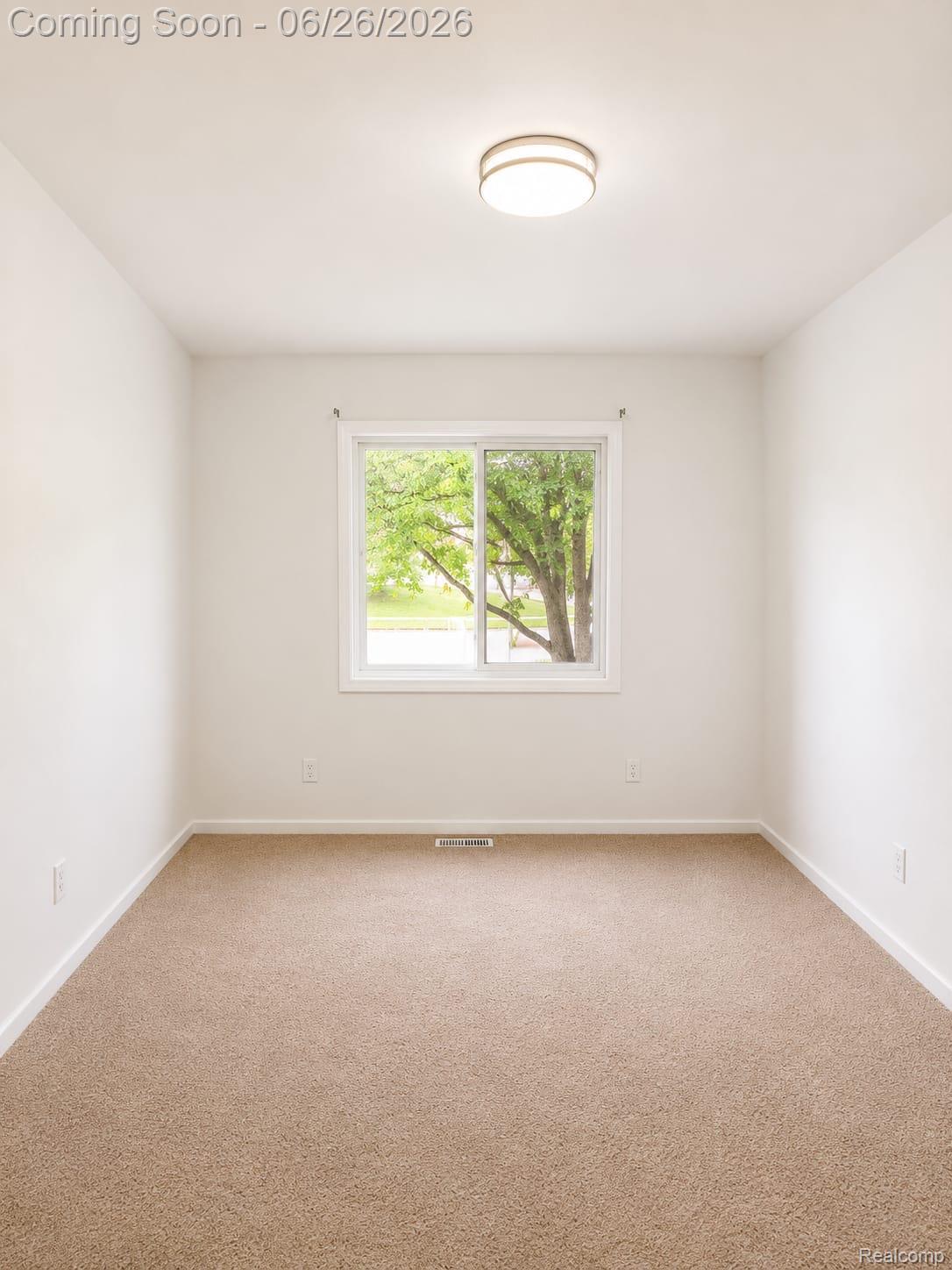 17014 Country Ridge Lane Macomb, MI 48044 - Photo 6 of 25 Neutral-toned room featuring a single window, overhead flush-mount lighting, light-colored walls, and carpeting