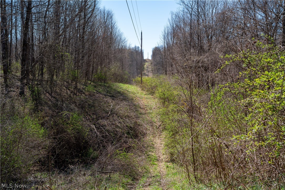 Sealover Hollow Rd Road Philo, OH 43771 - Photo 30 of 36