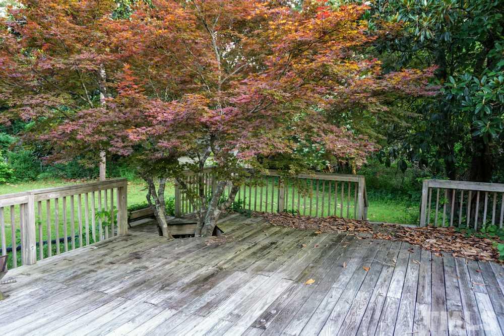 2511 West Cornwallis Road Durham, NC 27705 - Photo 20 of 27 Huge Deck