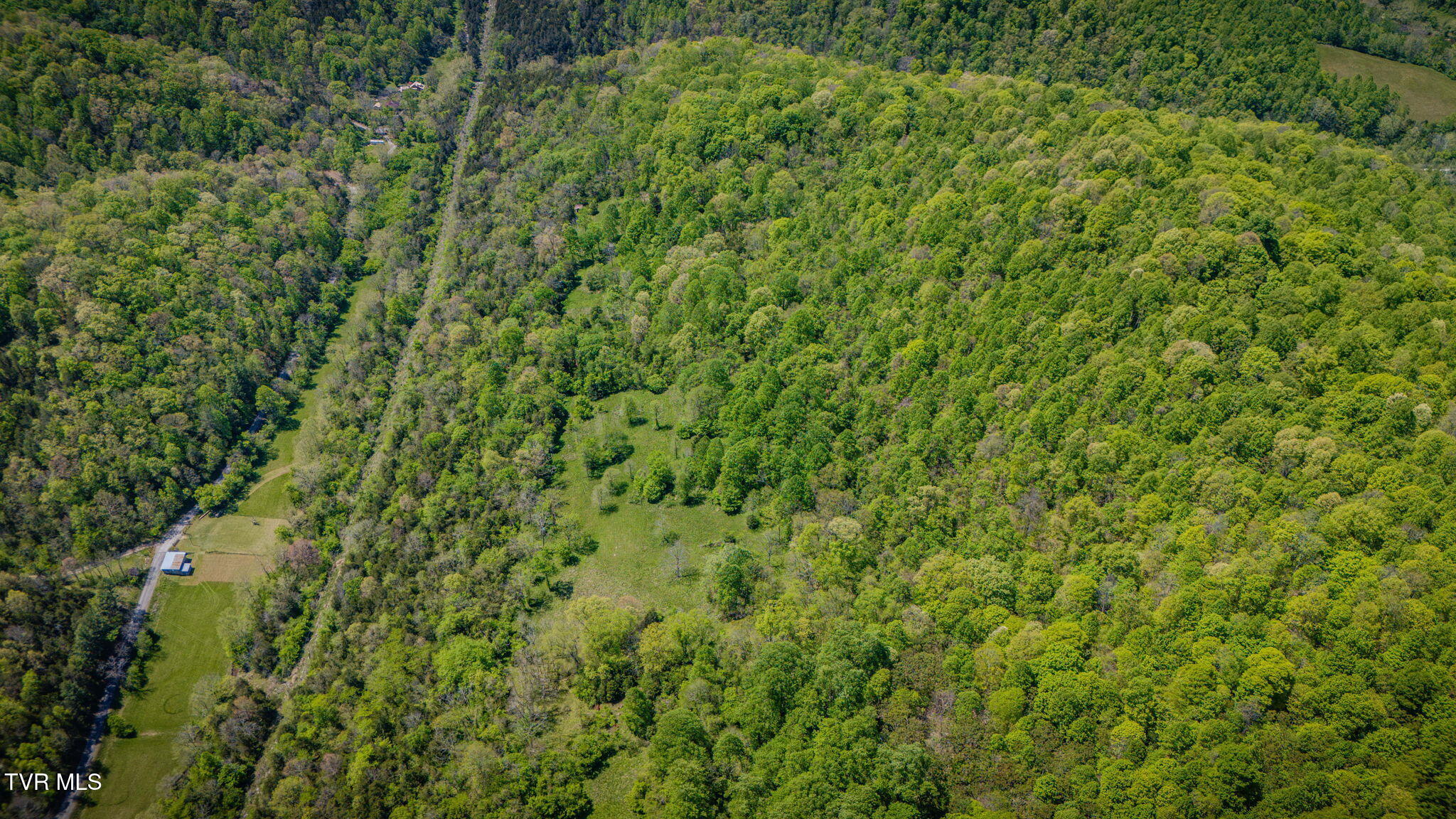 5367 Clinch Mountain Road Eidson, TN 37731 - Photo 14 of 16 013