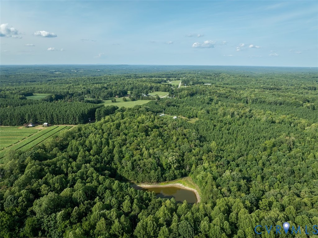 0 Riceville Road Java, VA 24565 - Photo 9 of 25 Gallery Image 9