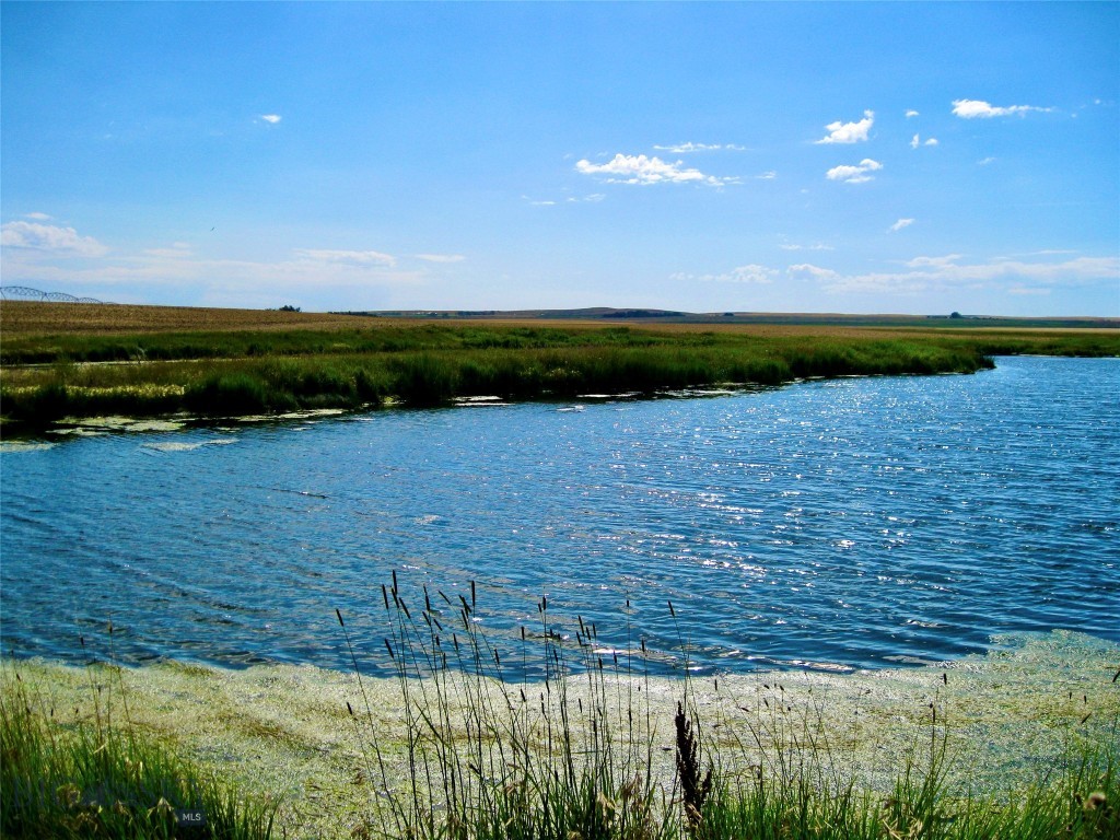 Tbd Buena Vista Road Valier, MT 59486 - Photo 51 of 76 Gallery Image 51