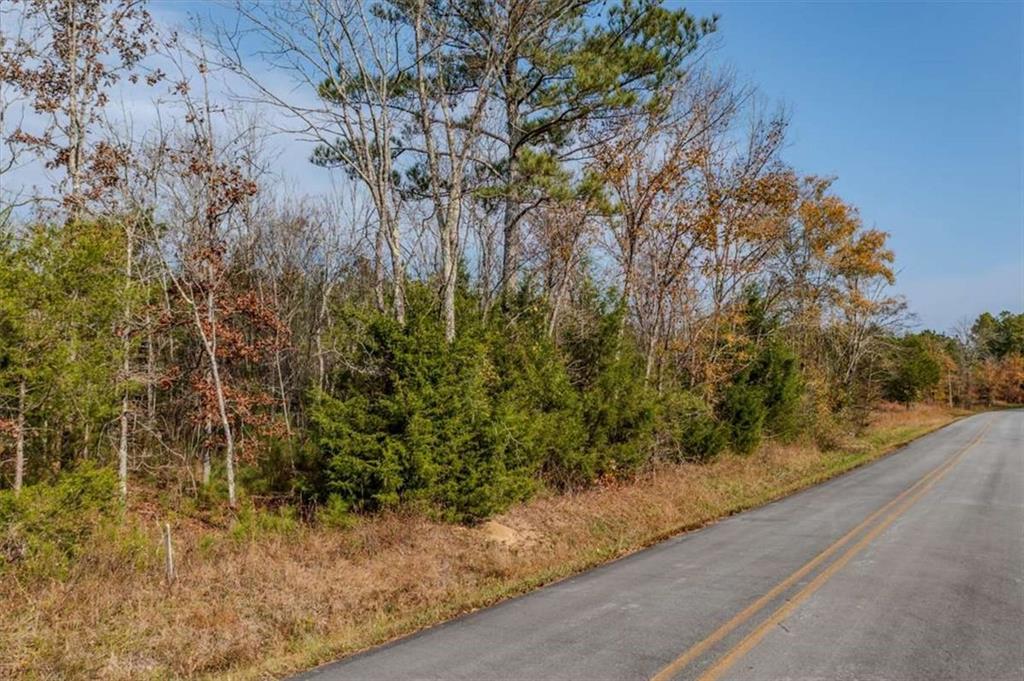 46 Owens Dairy Road Summerville, GA 30747 - Photo 13 of 16 a view of a yard