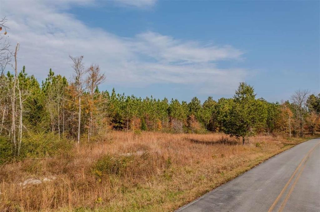 46 Owens Dairy Road Summerville, GA 30747 - Photo 14 of 16 a view of a yard