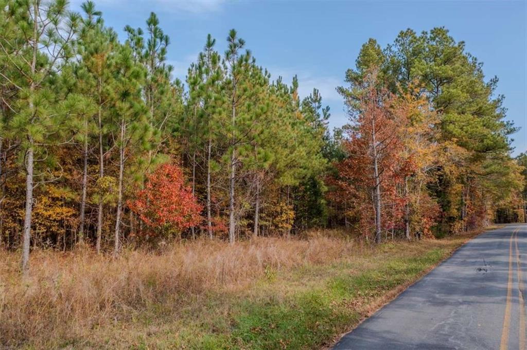 46 Owens Dairy Road Summerville, GA 30747 - Photo 15 of 16 a view of a yard