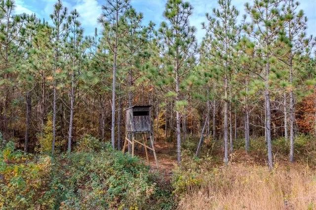 $250,000 | 46 Owens Dairy Road, Summerville, GA 30747