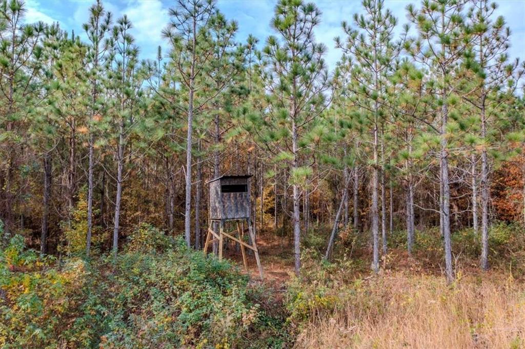 46 Owens Dairy Road Summerville, GA 30747 - Photo 16 of 16 a backyard of a house with table and chairs