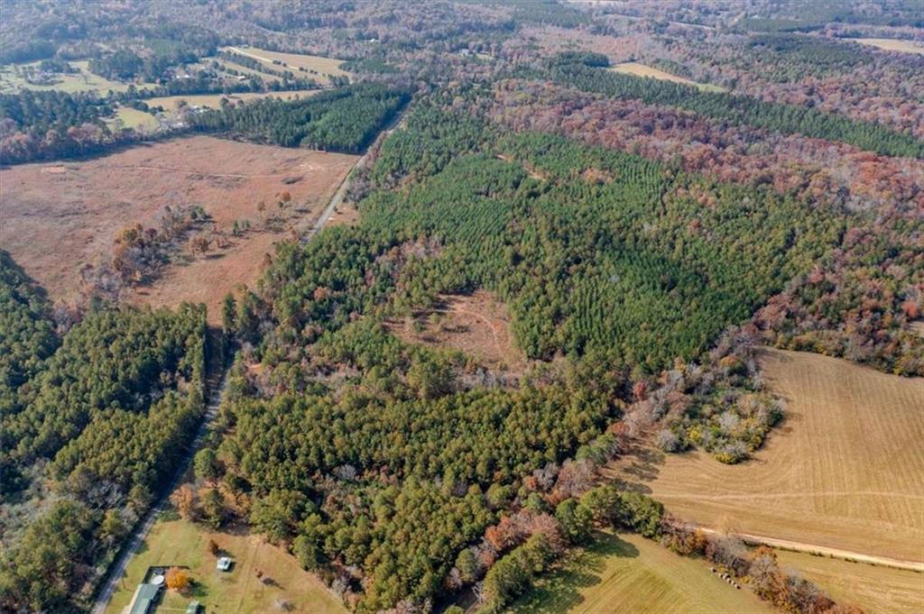 46 Owens Dairy Road Summerville, GA 30747 - Photo 4 of 16 a view of a road with a yard