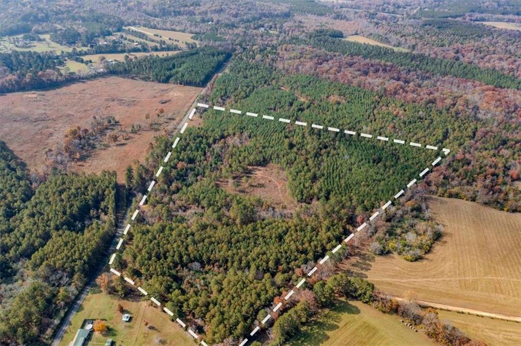 46 Owens Dairy Road Summerville, GA 30747 - Photo 5 of 16 a view of a garden with a pathway