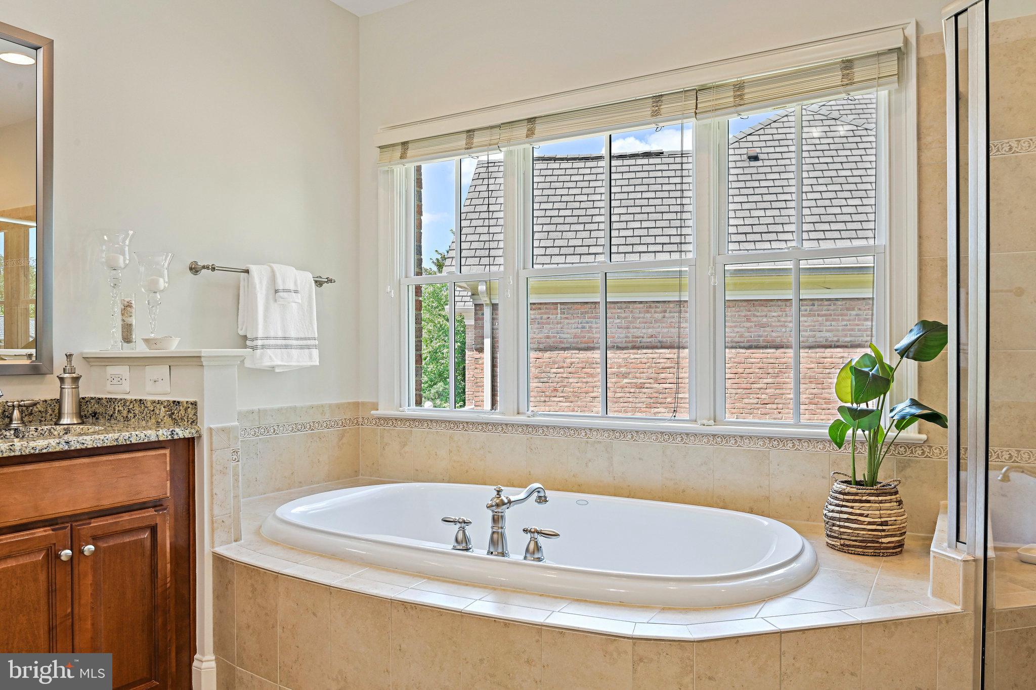8424 Falcone Pointe Way Vienna, VA 22182 - Photo 51 of 71 a bath tub sitting next to a window